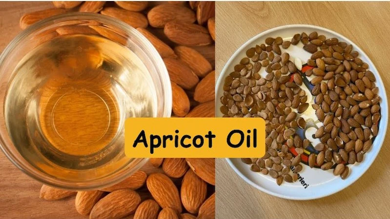 Hunza Apricot Oil
