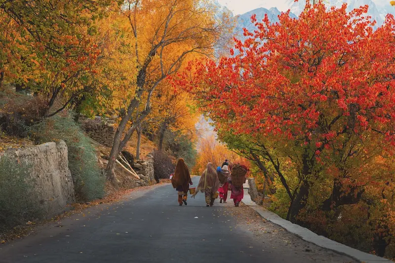 Hopper Valley view in Nagar