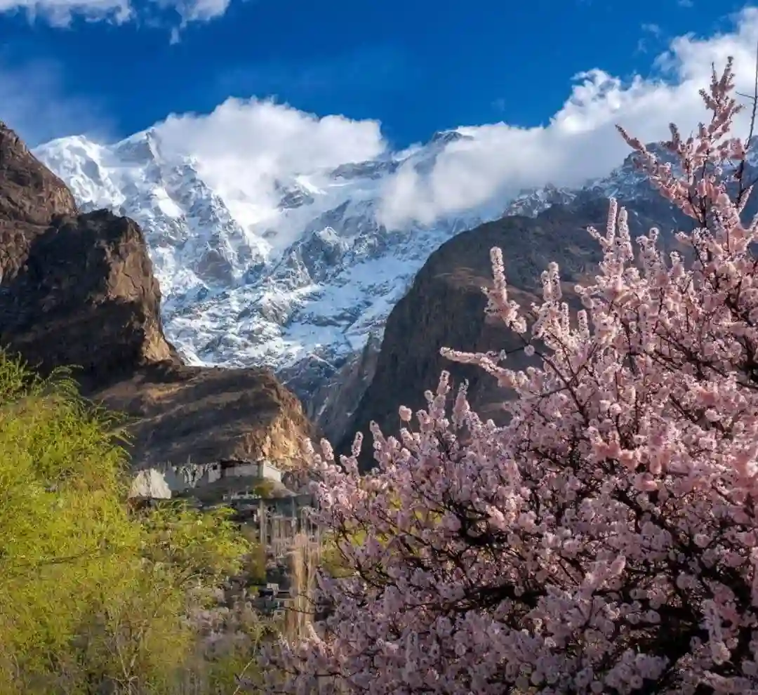 Hunza Tour Packages Main Image