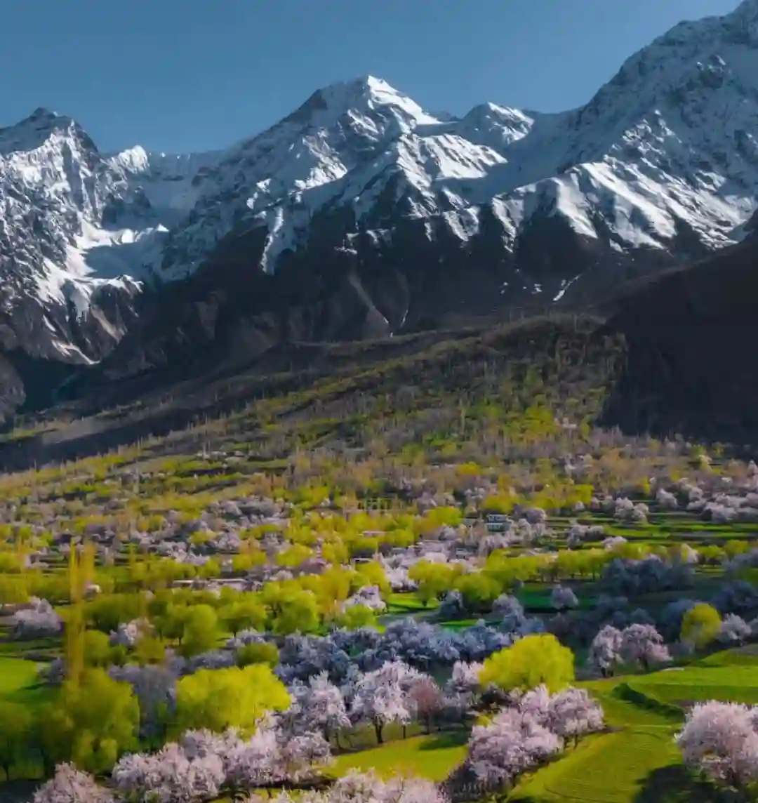 Hunza Valley in Blossom Season
