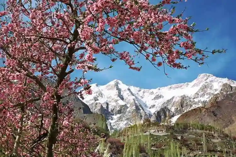 Hunza Tour Packages Child