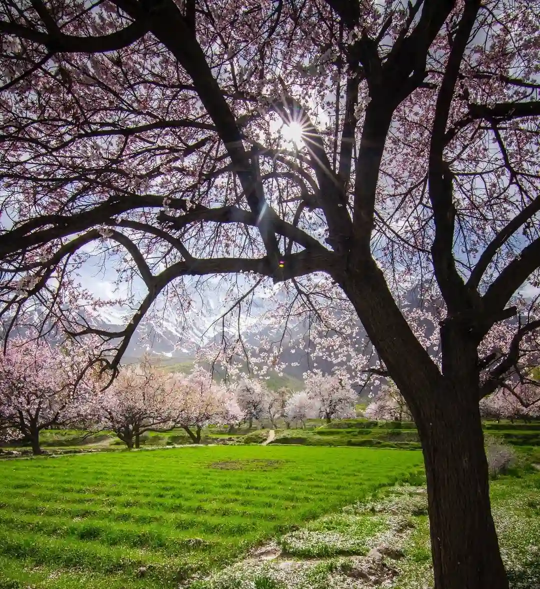 Hunza Tour Packages Child