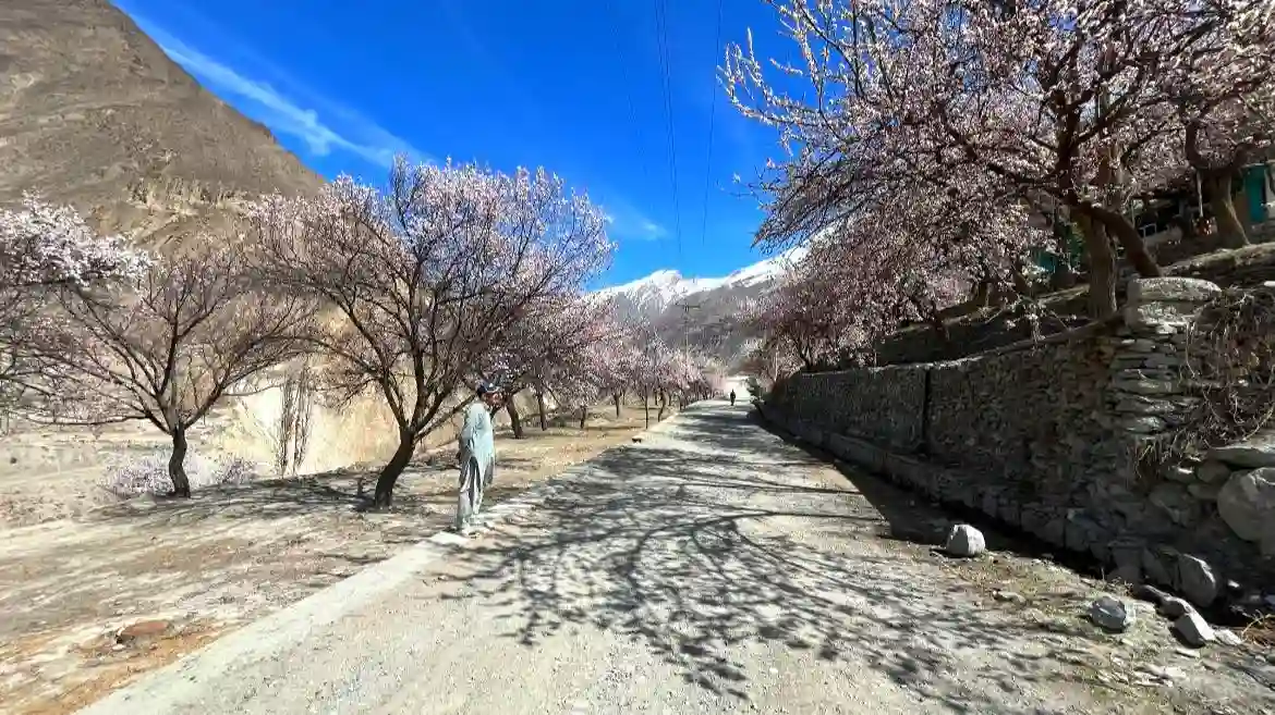 Hunza Tour Packages Child
